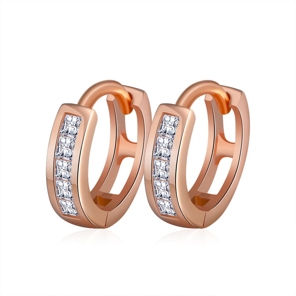 Loop Earrings