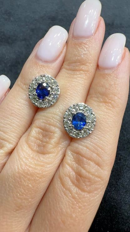 Ceylon Sapphire & Diamond Earrings in 18K White Gold